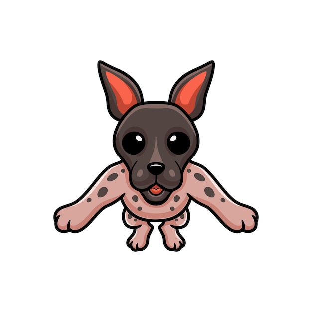 Cute american hairless terrier cartoon