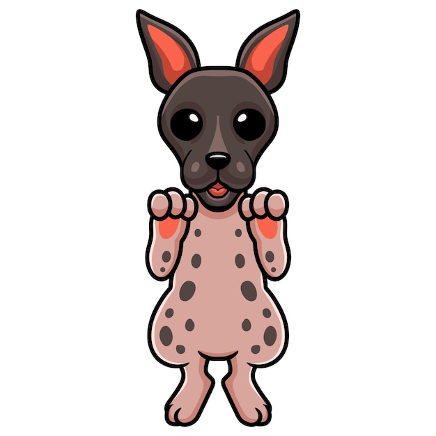 Cute american hairless terrier cartoon