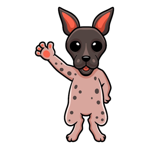 Cute american hairless terrier cartoon