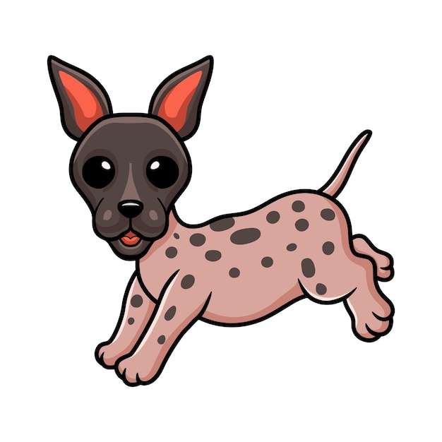 Cute american hairless terrier cartoon