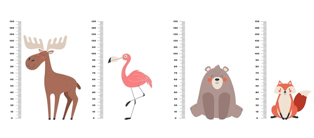 Cute animal ruler kid growth meter scale graphic design illustration