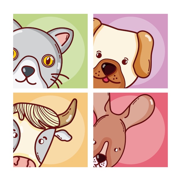 Cute animals cartoons on square frames vector illustration graphic design