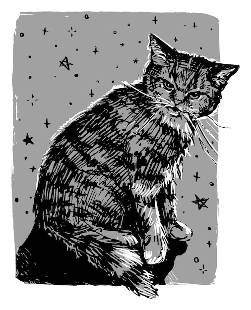 Cute annoyed cat Domestic pet animal on background of stars Monochrome hand drawn vector illustration Graphic picture isolated on white Artistic print in vintage engraving style