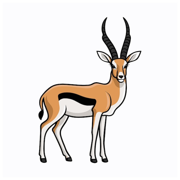 Vector cute antelope stands on a white background in cartoon style vector illustration with african animal