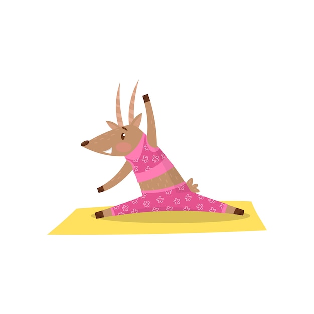 Cute antelope warmingup and stretching before training Funny humanized animal in pink sportswear Flat vector design