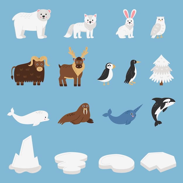 Vector cute arctic animals collection in cartoon style