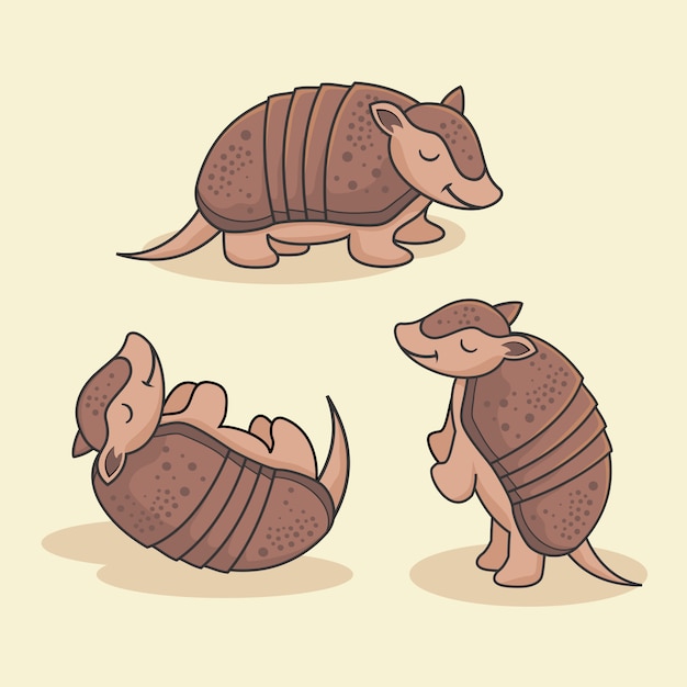 Cute Armadillo Cartoon Animal group