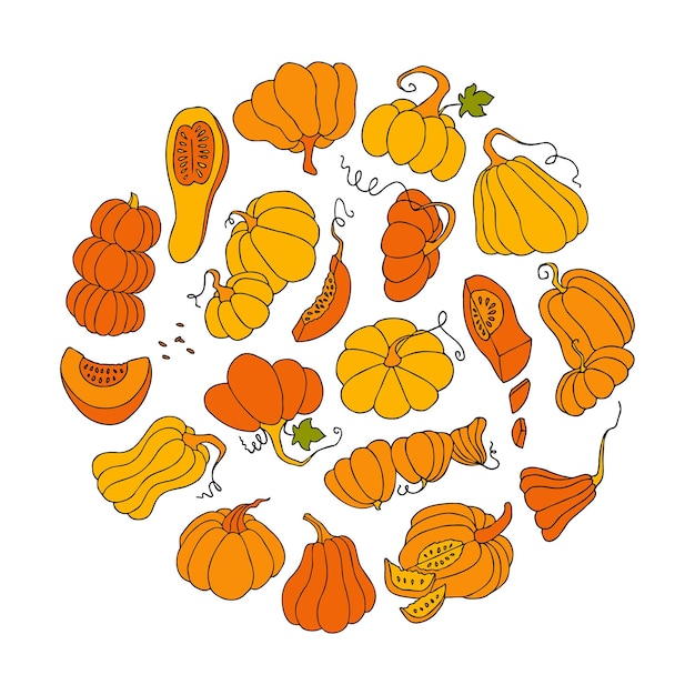 Cute autumn vector illustration hand drawn pumpkins