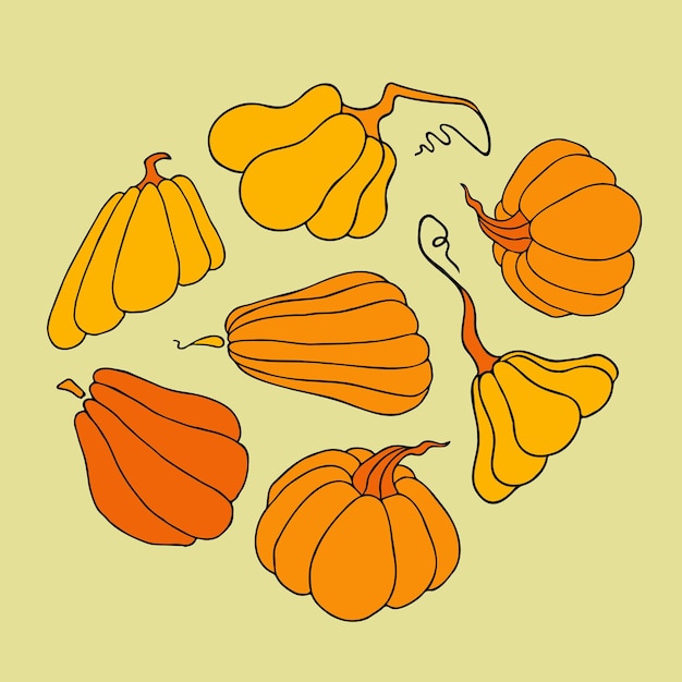 Cute autumn vector illustration hand drawn pumpkins