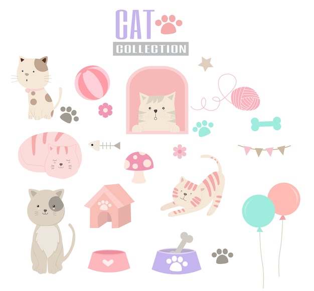 Cute baby cat collection