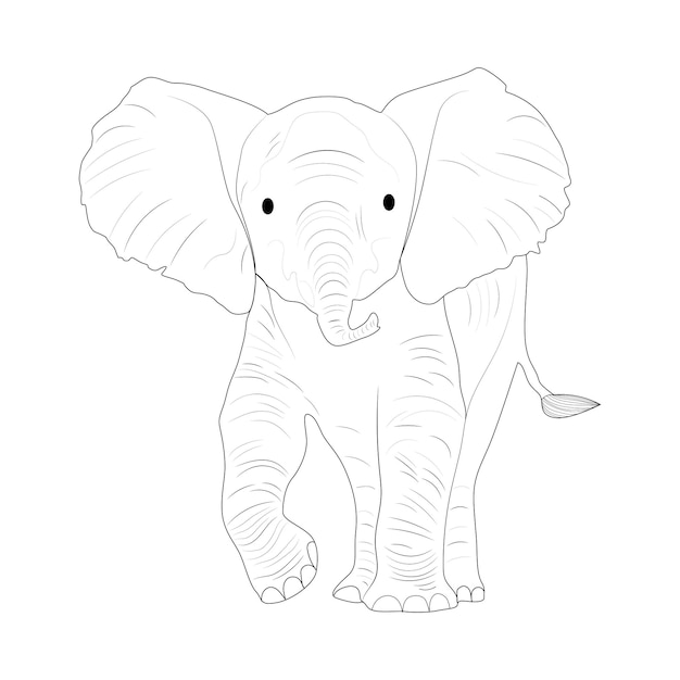 cute baby elephant line art design