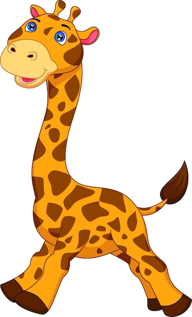 cute baby giraffe cartoon isolated on white