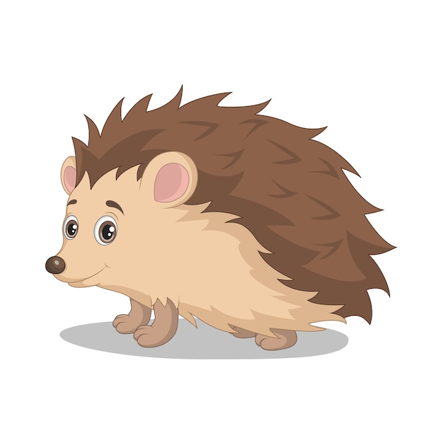 Cute baby hedgehog cartoon on white