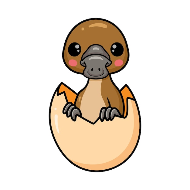 Cute baby platypus cartoon inside an egg