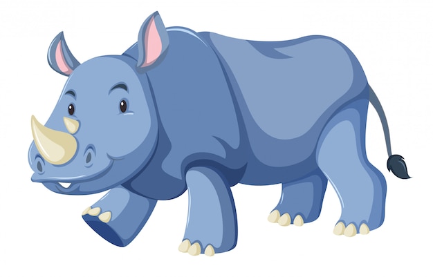 Cute baby rhino white background