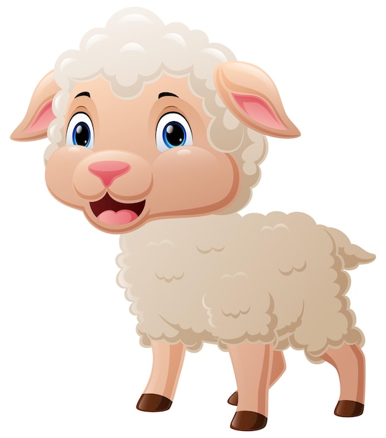 Cute baby sheep cartoon on white background