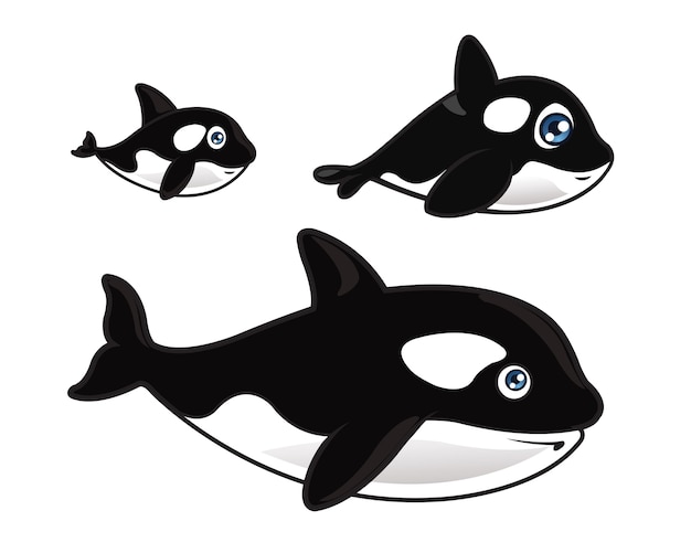 Cute Baby Whale Cartoon