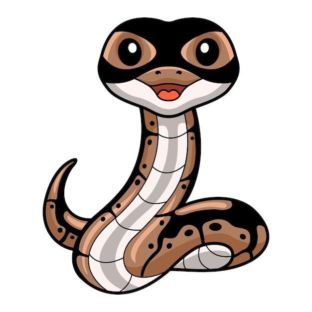 Cute ball python snake cartoon