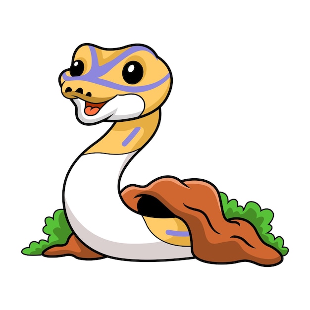 Cute banana pied ball python cartoon out from hole