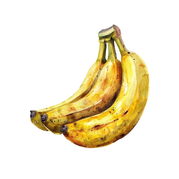 Cute banana vector illustration in watercolour style