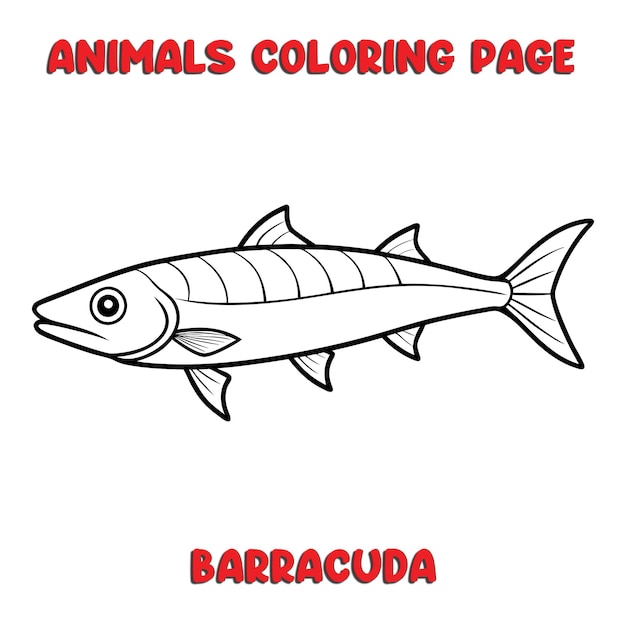 Vector cute barracuda outline art illustration coloring page book for kids