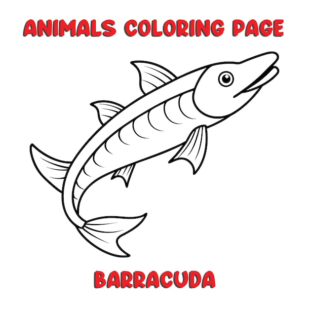 Vector cute barracuda outline art illustration coloring page book for kids