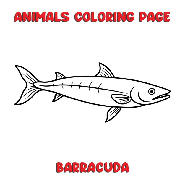 Vector cute barracuda outline art illustration coloring page book for kids