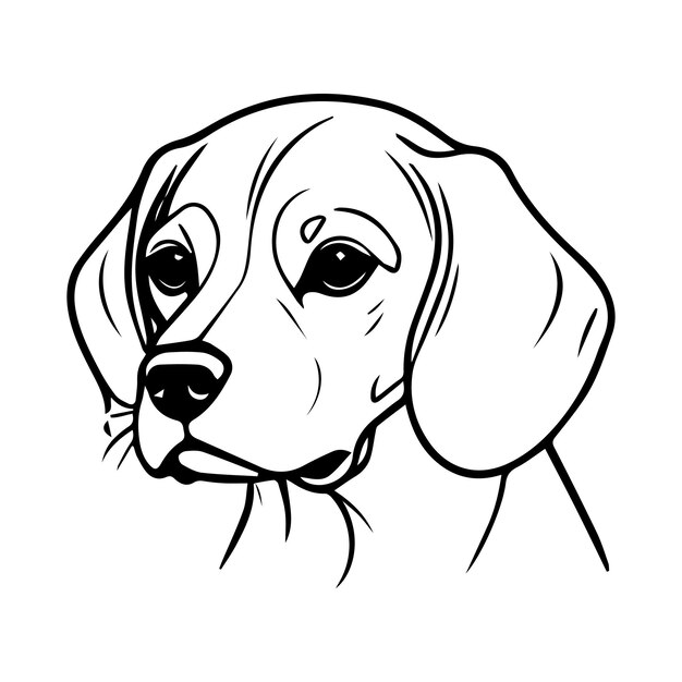 Vector cute beagle dog line art drawing