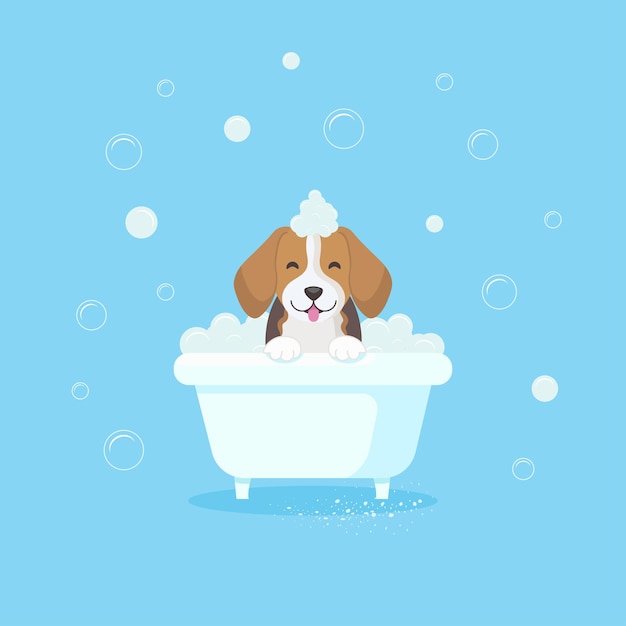 Cute beagle puppy in the bath