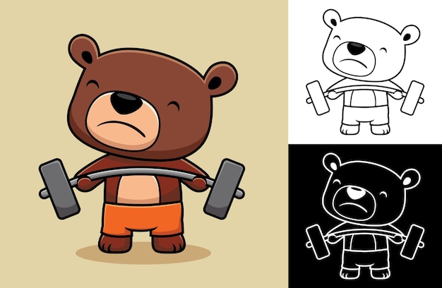 Cute bear exercise lifting barbells