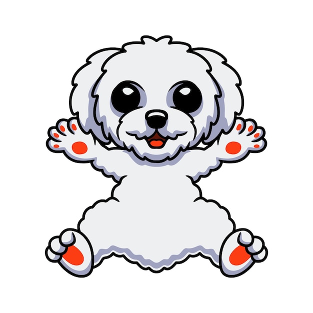 Cute bichon frise cartoon posing