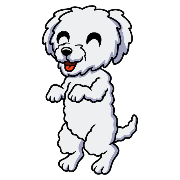 Cute bichon frise cartoon standing