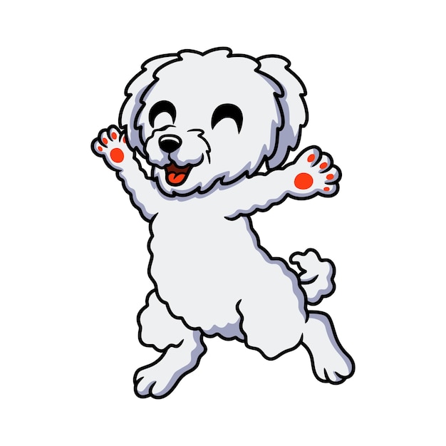 Cute bichon frise cartoon walking