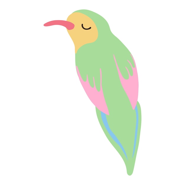 Cute Bird Colorful Illustration