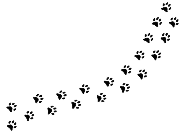 Cute black footprints of pet foot steps silhouettes Vector illustrations animal tracks isolated on white texture fresh paw pet