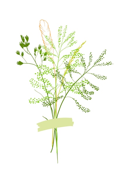 A cute bouquet of blades of grass a summer collection of different herbs with a piece of paper