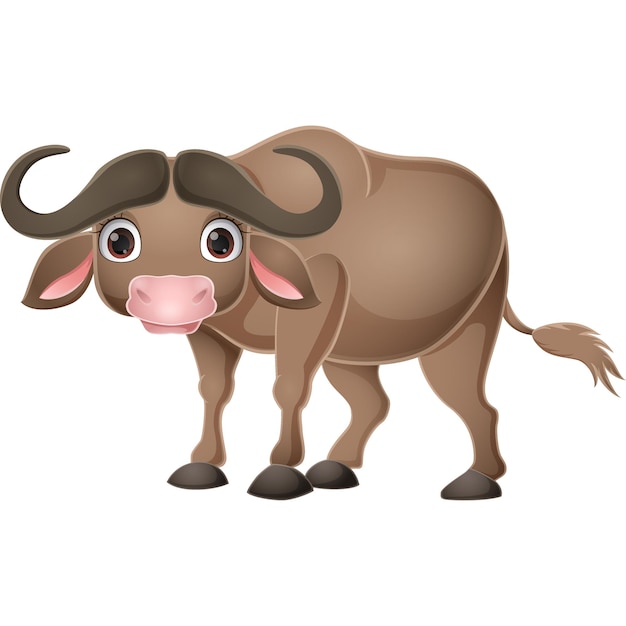 Cute buffalo cartoon on white background