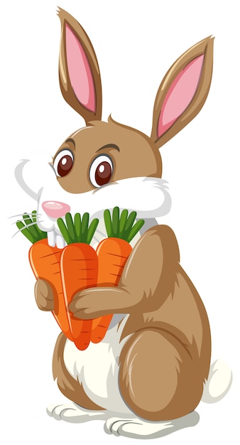 Cute bunny holding carrots