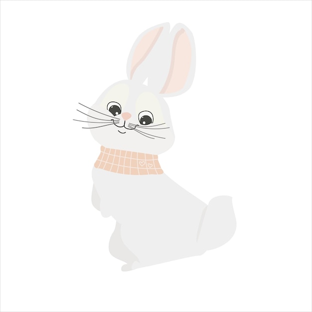 cute bunny on a white background