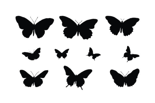 Cute butterflies silhouette set vector on a white background Butterfly icons and silhouette collection Beautiful monarch butterfly flying in different positions Butterfly silhouette set design