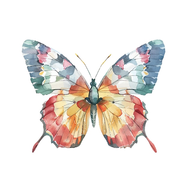 cute butterfly vector illustration in watercolour style