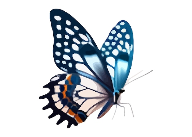 Vector cute butterfly watercolour vector illustration