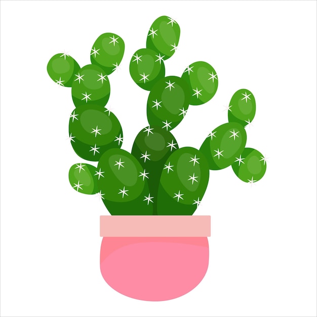 Cute cacti in pots and with plants Indoor plants succulents Prickly plants in cartoon style vector illustration isolated on white background