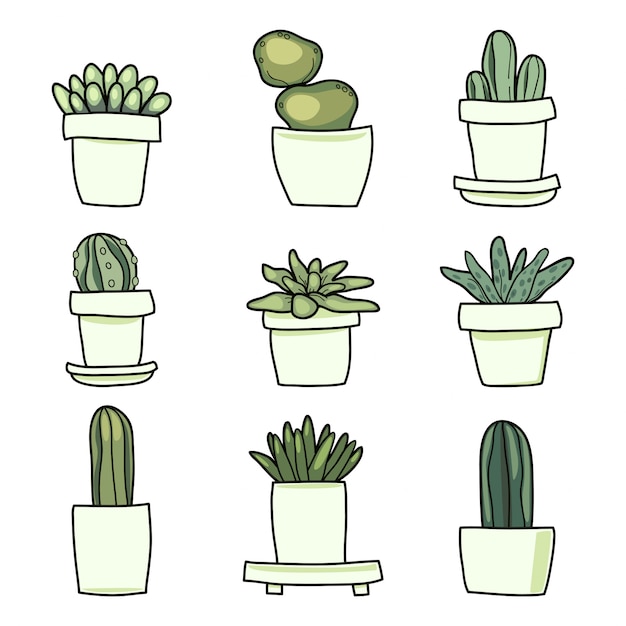 Cute Cactus Cartoon set