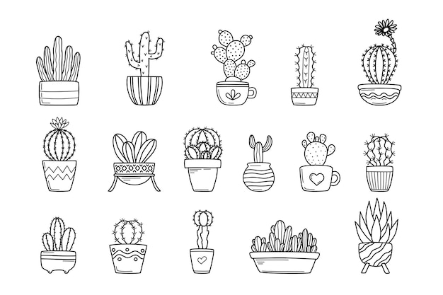 Cute cactus in flower pots set