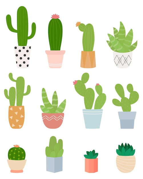 Cute cactus plant in pots Indoor plants in a flat style Vector illustration set