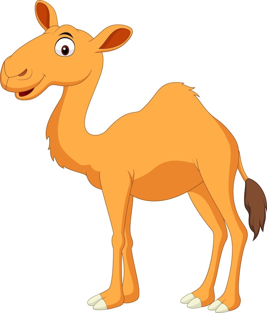 Cute camel cartoon