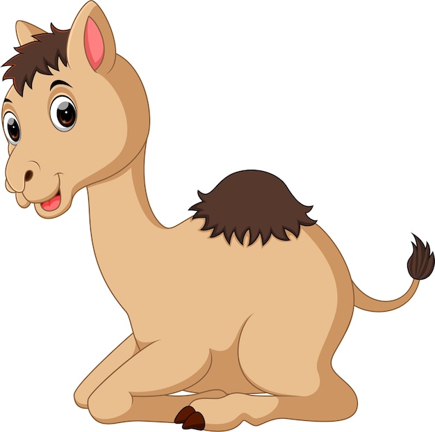 cute Camel cartoon