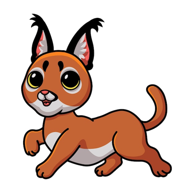 Cute caracal cat cartoon walking