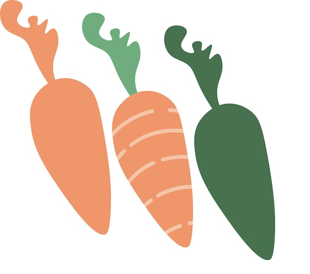 Cute carrot hand drawn food vector illustration Vegan and vegetarian food suitable